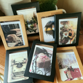 Greeting Card Window Boxes
