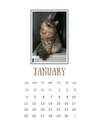 2026 Clipboard Wall Calendar