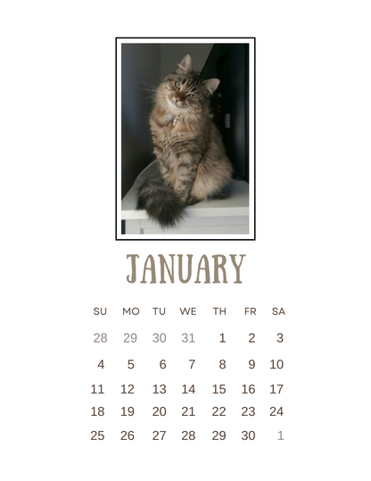 2026 Clipboard Wall Calendar