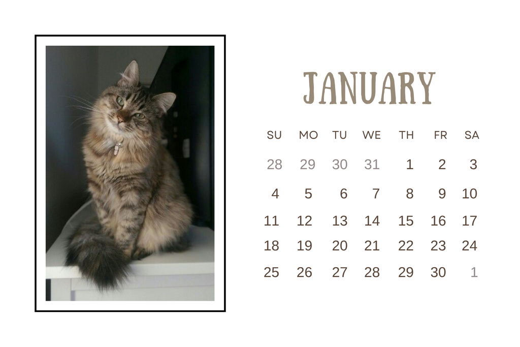 2026 Wood Stand Desk Calendar