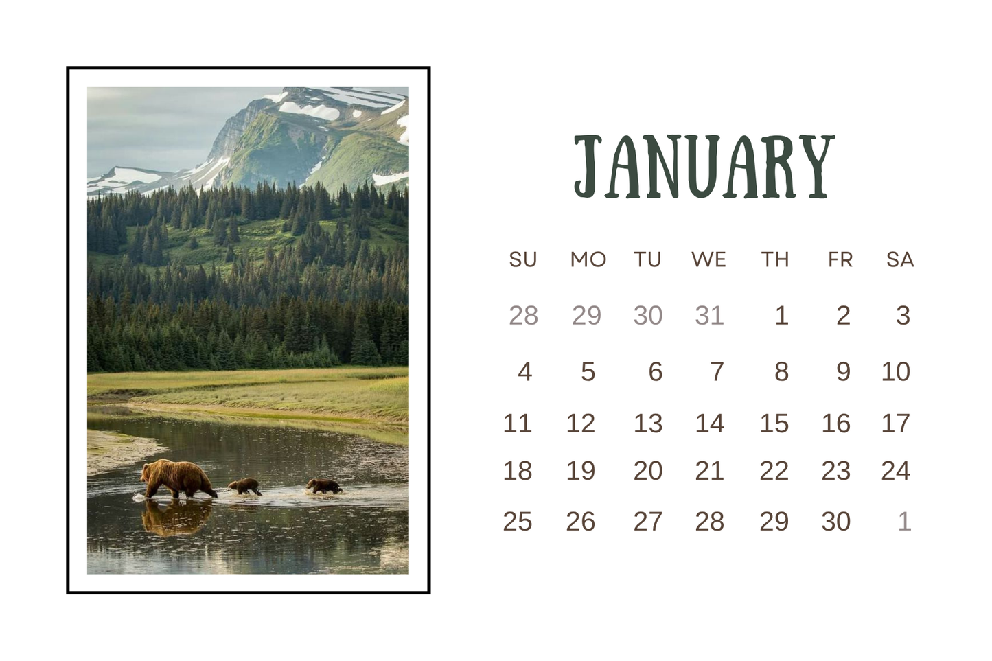 2026 Desk Calendar - Walnut - Wilderness Awaits